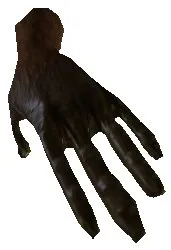 Papoo Palm