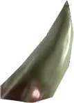 Papoo Tooth
