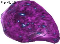 Petonium Stone