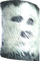 Phasm Hide