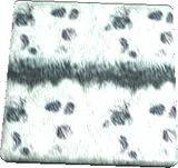 Phasm Leather Texture