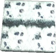 Phasm Leather Texture