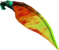 Plumatergus Small Wing