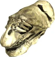 Primordial Longu Skull