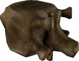 Proteron Neck Bone