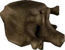 Proteron Neck Bone