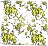 Quantium Texture