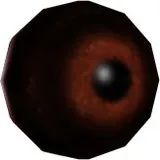 Riptor Eye