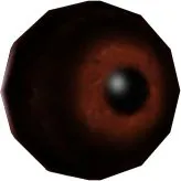 Riptor Eye