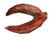Rotten Caboria Clam