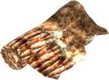 Rough Leather