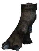 Scoria Leg