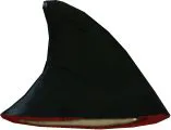 Shark Fin