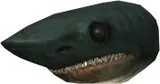 Shark Head