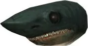 Shark Head