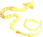 Shed Skreel Tail