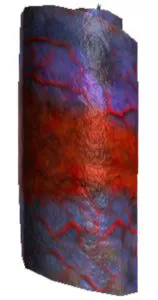 Sicarius Hide