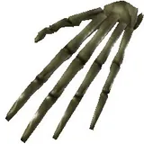 Skeleton Hand