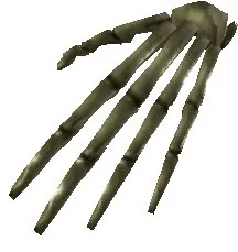 Skeleton Hand