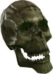 Skeleton Head