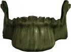 Skeleton Jaw