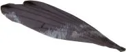 Small Bird Wing