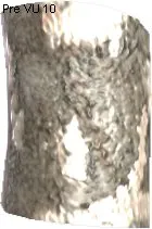 Snablesnot Skin