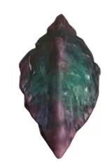 Spina Worker Carapace