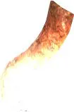 Tail Tip