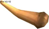 Tantardion Horn
