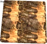 Tantardion Leather Texture