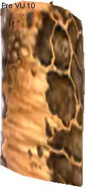Tantardion Skin