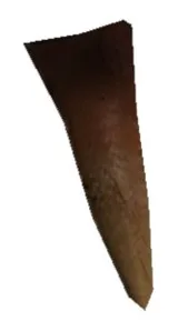 Teladon Tail Spike