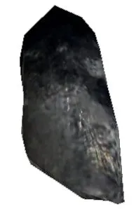 Tiarak Nail