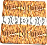 Tiger Texture