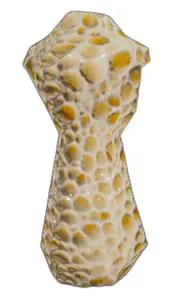 Trabecular Base