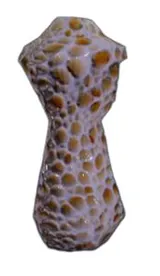 Trabecular Modified