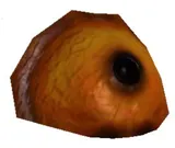 Ubo Vesicle