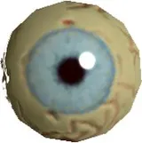 Wolf Eye