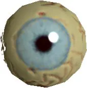 Wolf Eye