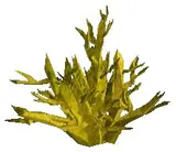 Yellow Crystal