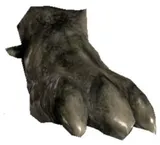Zadul Foot