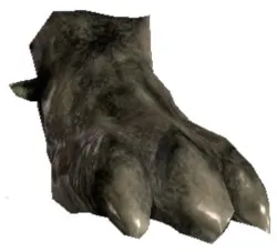 Zadul Foot