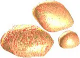Zulax Stones