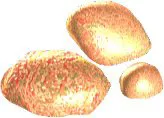Zulax Stones